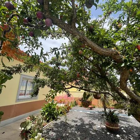 Belle Vue * Сан-Жоржи