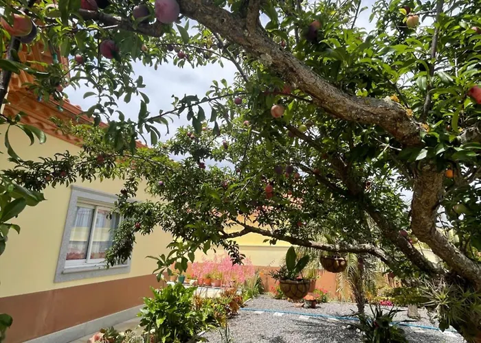 Belle Vue * São Jorge